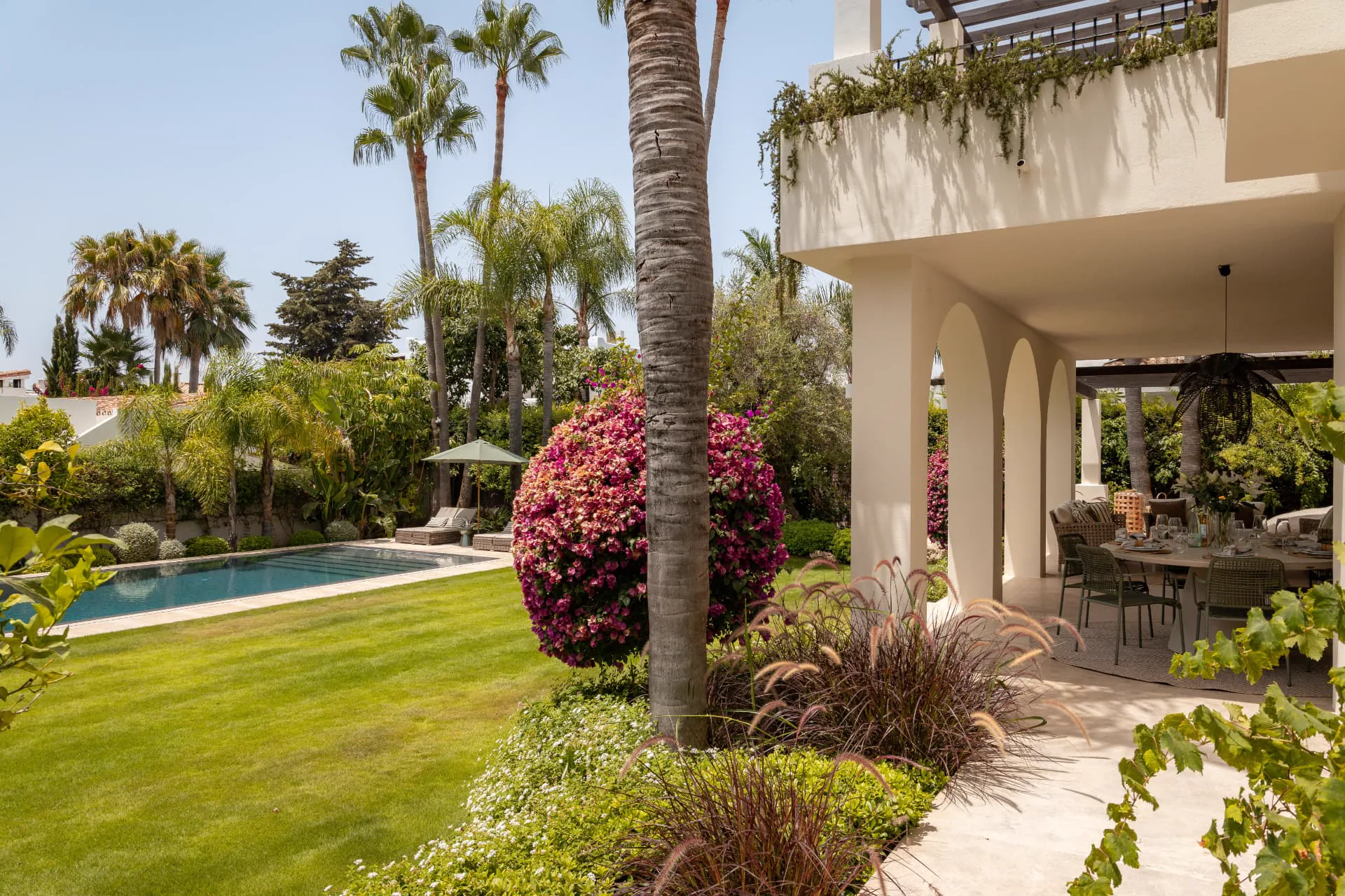 The garden in high summer: bougainvillea, palms, lawn and the length of the pool
